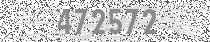 raytron Anti-bot code
